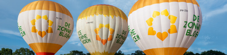 Drie Zonnebloem-ballonnen tegelijk in de lucht vanuit Baarle-Nassau
