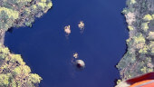 img_7120.jpeg 