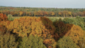 2163_herfst.jpg 