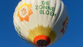 zonnebloem1.jpg 