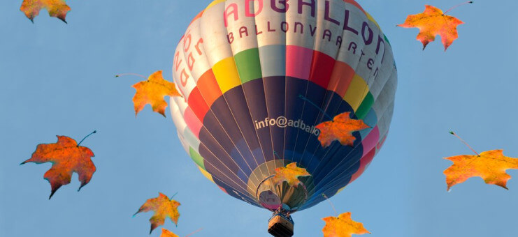 Ballonvaren in de herfst!