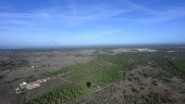 bas_4916.jpg 