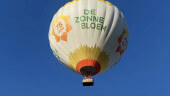 zonnebloem2.jpg 