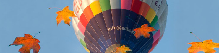 Ballonvaren in de herfst!
