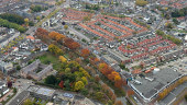herfst10.jpg 